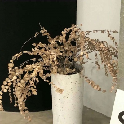 Furry绘画细节技巧兽圈社群